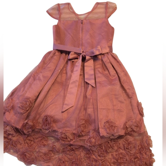 Elegant Rose Dress with Shimmery & Tulle Accents - Picture 4 of 4